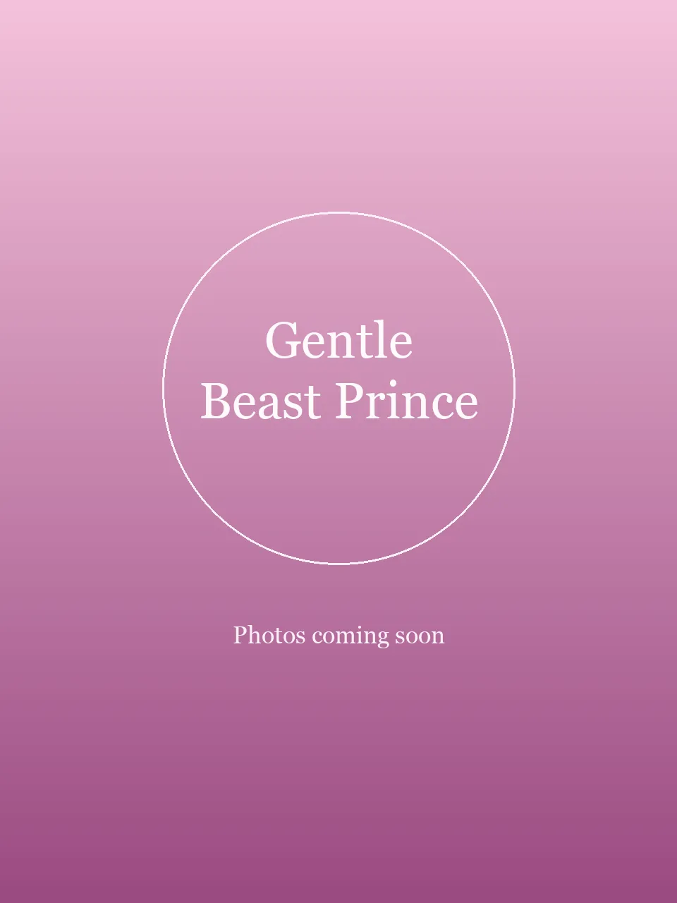 Gentle Beast Prince party character in Orange County