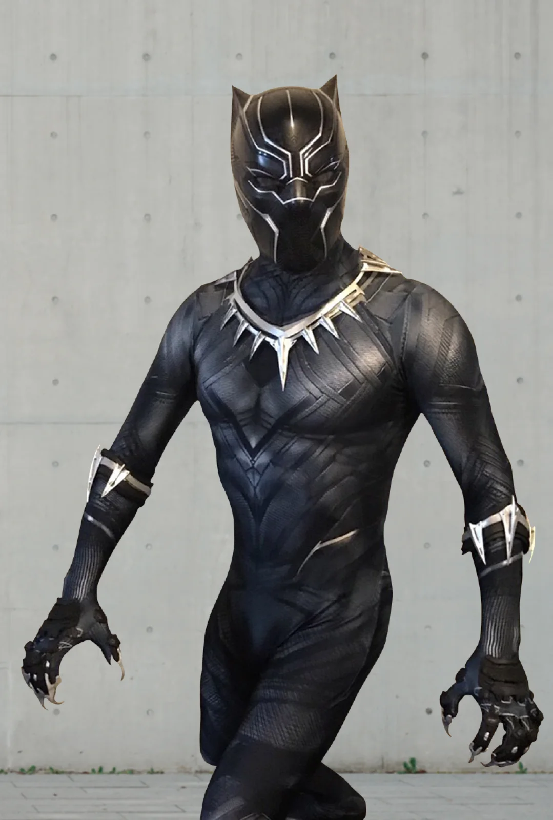 Panther Hero party character in Orange County