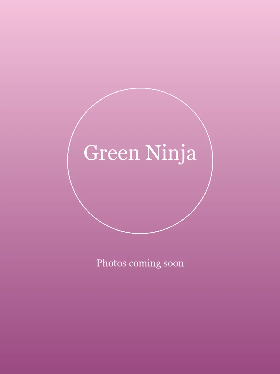 Green Ninja party character in Orange County