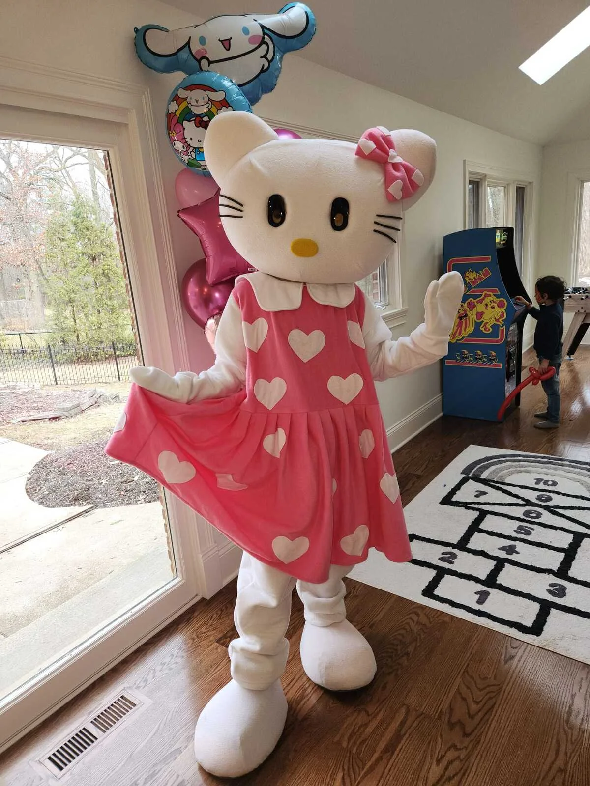 Princess Kitty party character in Orange County