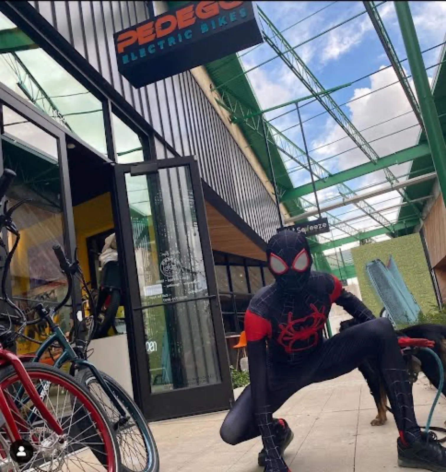 Masked Web Hero party character in Orange County