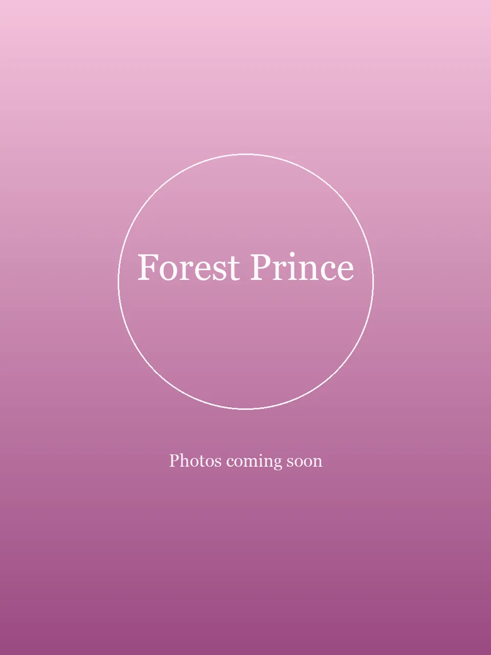 Forest Prince party character in Orange County